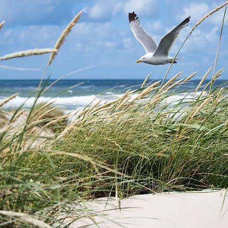 With Views Of Sailing Club